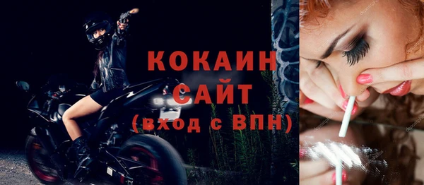 дмт Краснослободск
