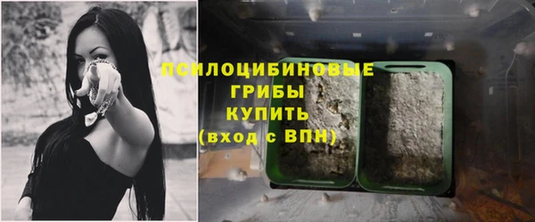 дмт Краснослободск