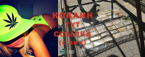 дмт Краснослободск