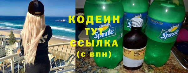 дмт Краснослободск