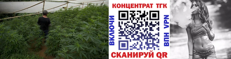 ТГК вейп с тгк  Купить  Красноярск 